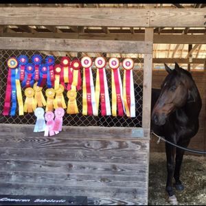 Meet your Posher, Cameron